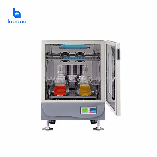 Agitador termo incubador de oscilación orbital rotativa de doble capa Laboao
