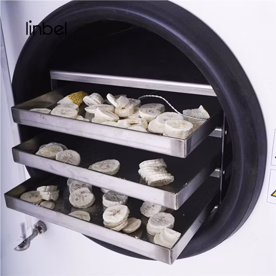 Liofilización casera Liofilizador de alimentos caseros Liofilizador con bomba de vacío para el hogar